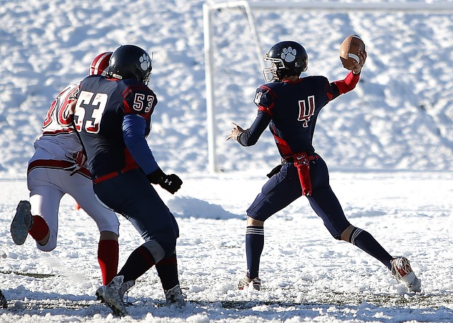 赢得了本赛 赢得了本赛