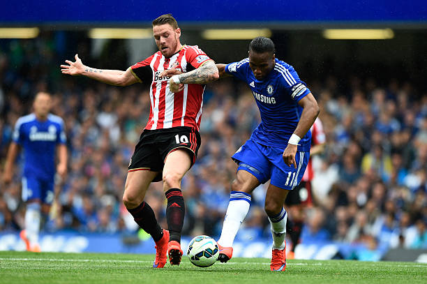 他们不仅能 他们不仅能