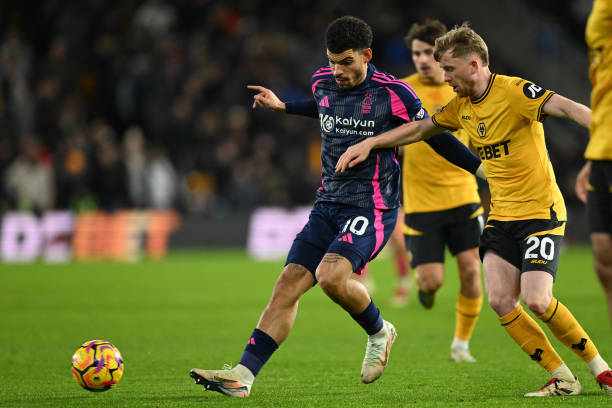 自然结果 自然结果